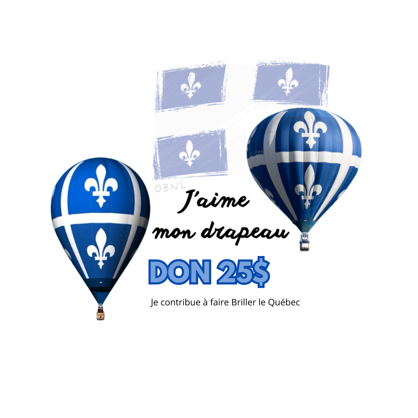 J'offre un don en argent pour faire Briller le Québec!