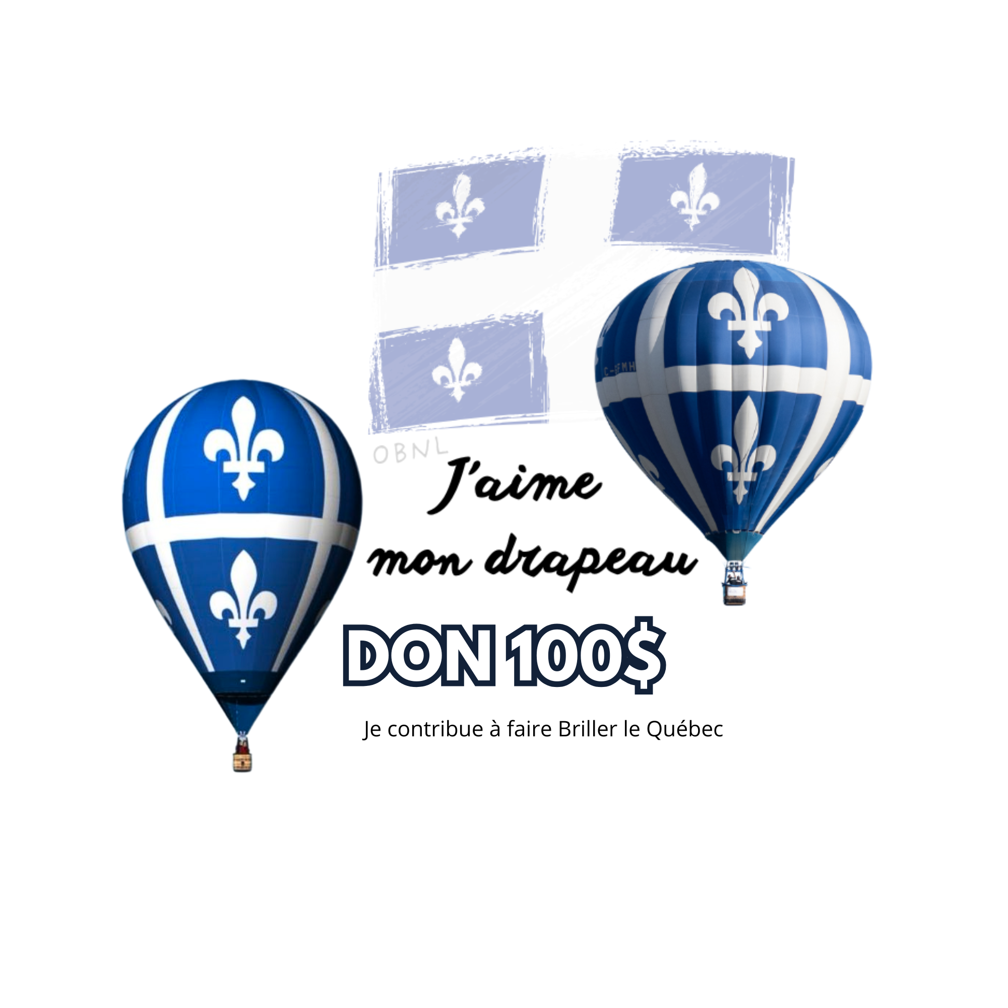 J'offre un don en argent pour faire Briller le Québec
