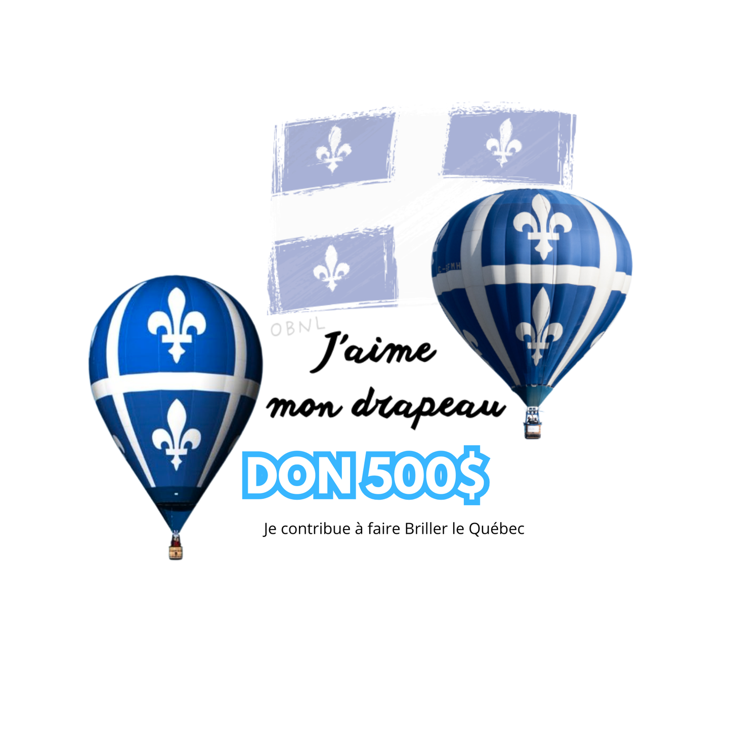 J'offre un don en argent pour faire Briller le Québec