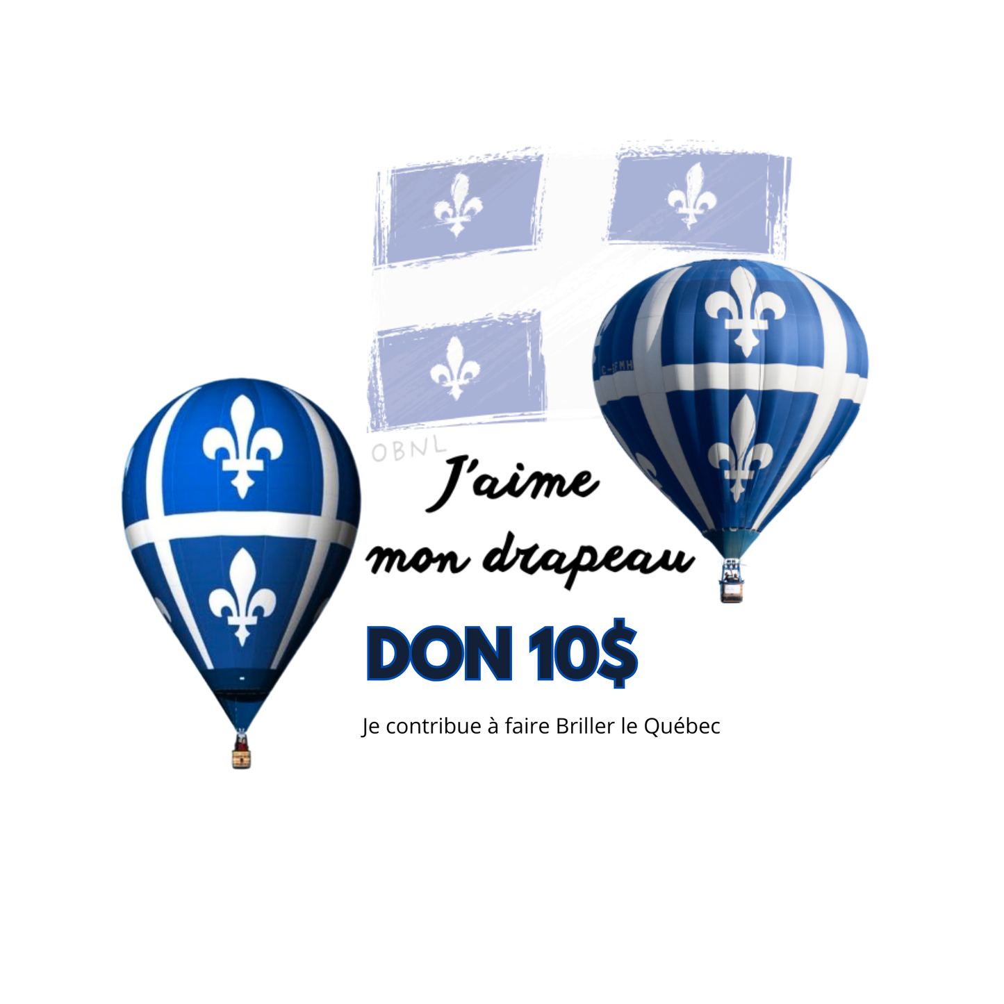 J'offre un don en argent pour faire Briller le Québec!